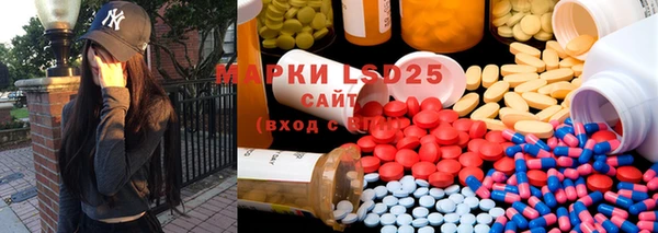 apvp Вязьма