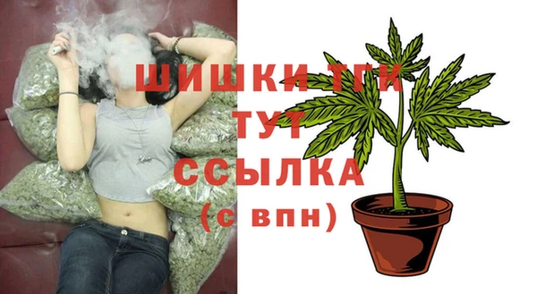 apvp Вязьма