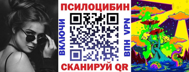 Купить закладки Тимашёвск Псилоцибиновые грибы Cubensis